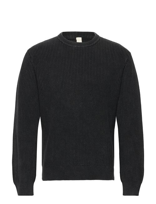 Brixtol Textiles | Dorper | XL