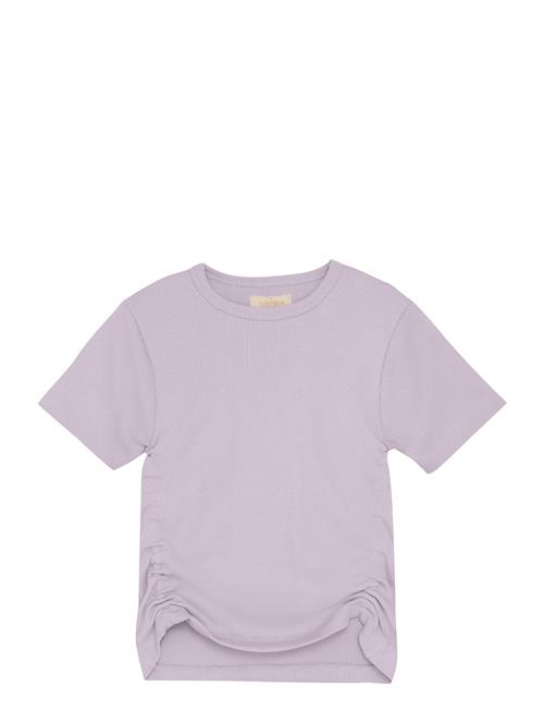 Creamie | T-Shirt Ss Rib | 116