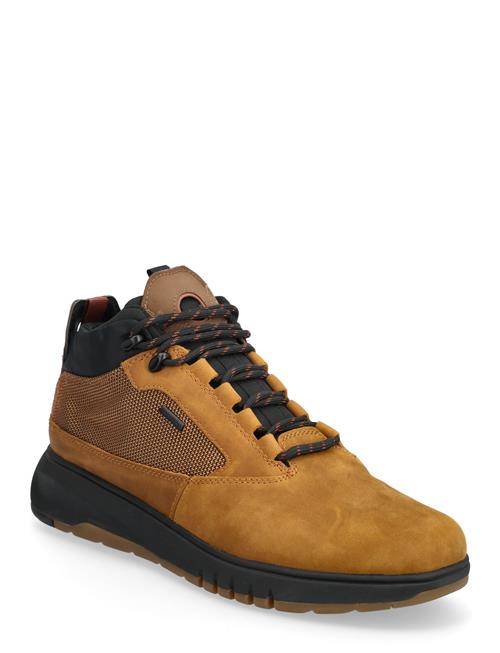 GEOX | U Aerantis 4X4 B Abx | 42