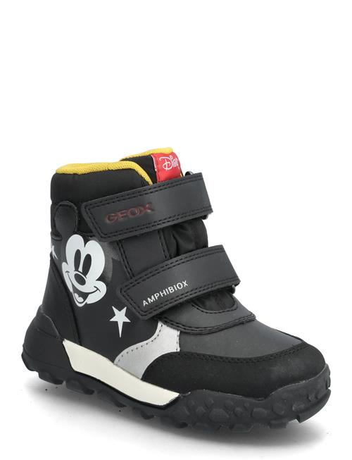 GEOX | B Trekkyup Boy B Abx | 21