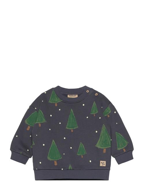 Wheat | Sweatshirt L/S Sandro | 80