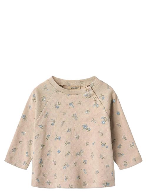 Wheat | T-Shirt L/S Darrin | 92