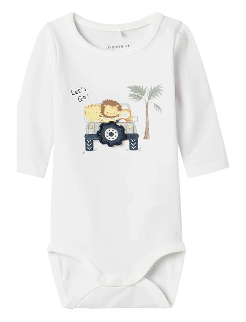 name it | Nbmhollow Ls Body Box | 56