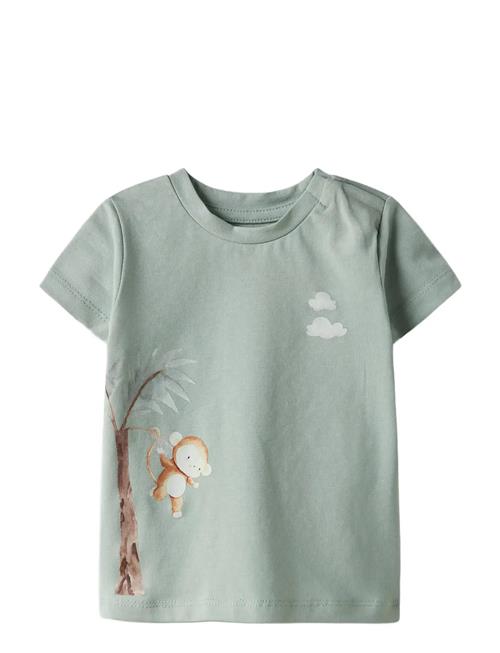 name it | Nbmharrison Ss Top Box | 68