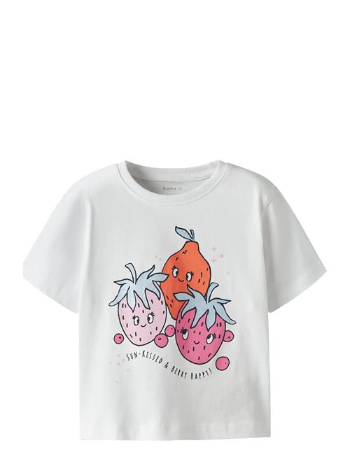 name it | Nmfhelka Ss Nreg Top Pb | 104