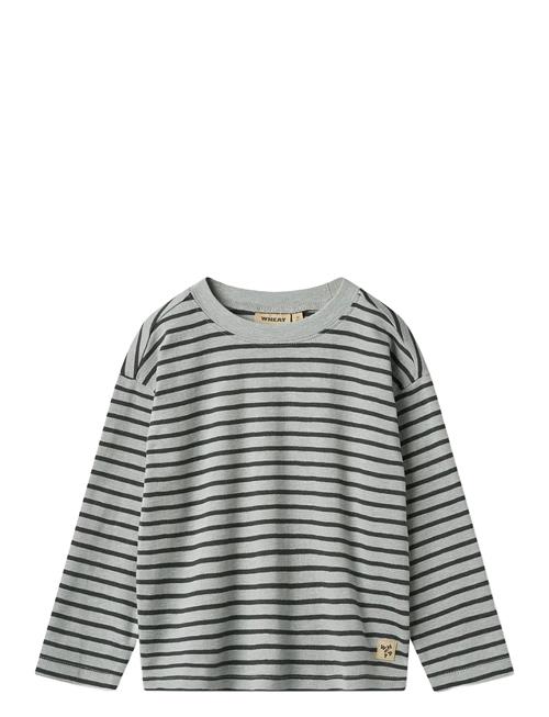 Wheat | T-Shirt L/S Dallas | 128