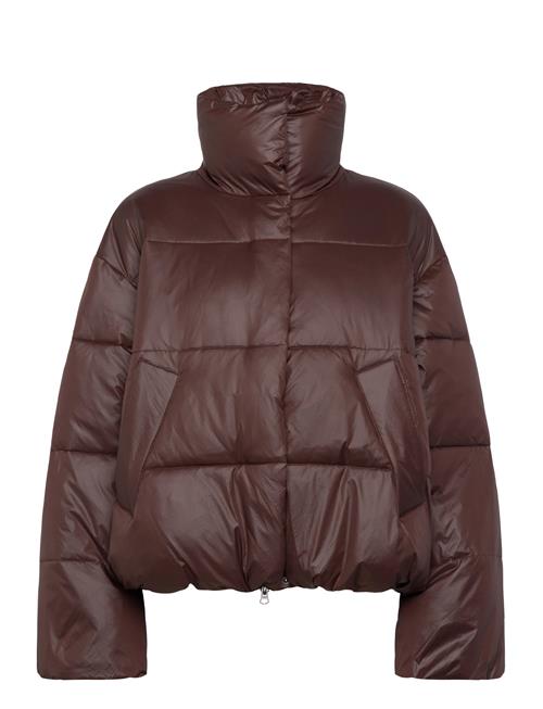 mbyM | Seraphina-M | S/M