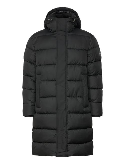 BOSS | H-Cenuto | 50