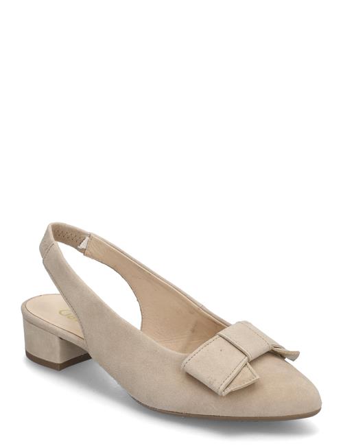 Gabor | Slingback | 37.5