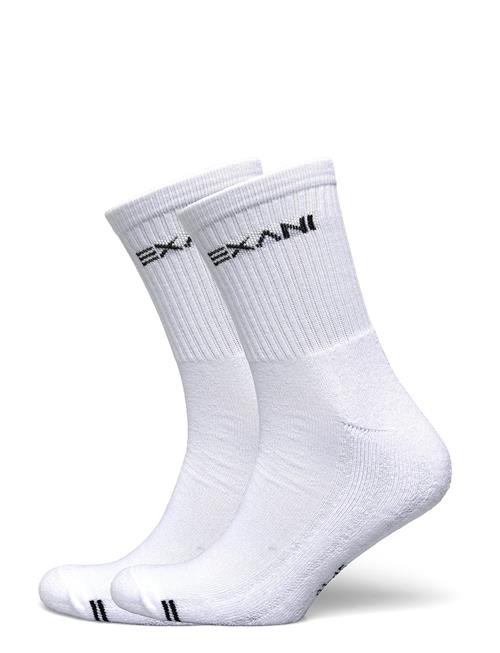 Exani | Regular Cut Sock 2-Pack M | 41-45