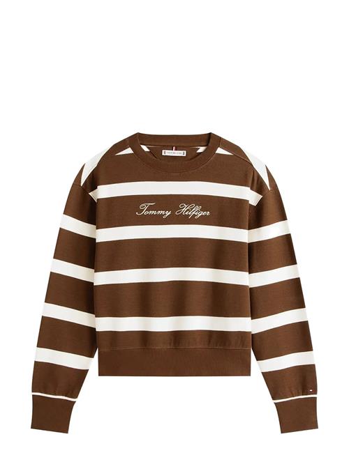 Tommy Hilfiger | Script Reg Pique Swtshrt | XXL