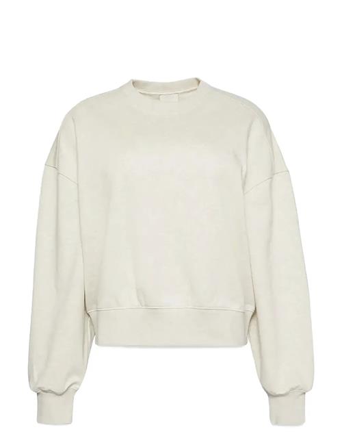 Calvin Klein | A- Logo Emb French Terry Crewnec | M