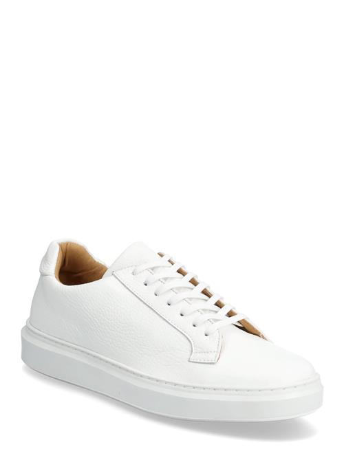 Matinique | Mavasco | 40