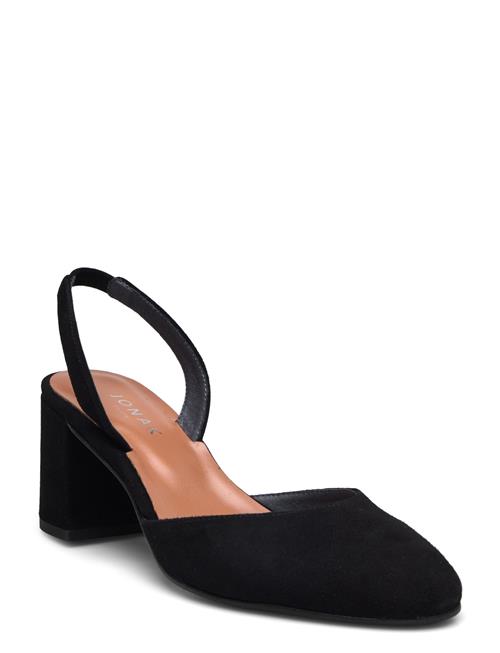 Jonak Paris | 264-Dolby Velours | 36