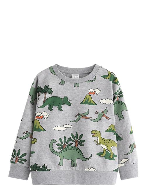 Lindex | Sweatshirt Dino Aop | 98