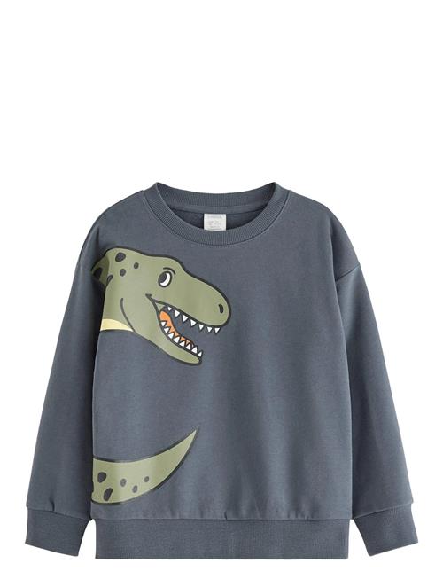Lindex | Sweatshirt Dino Placement | 104