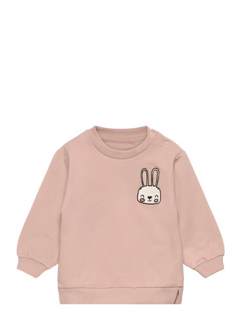 The New | Tnsbpandora Sweatshirt | 68