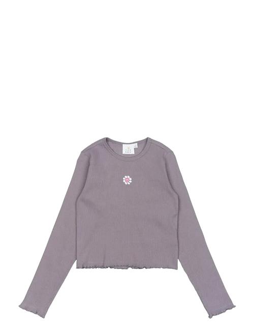 The New | Tnperrin Short L_S Rib Tee | 134/140