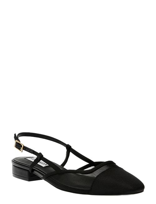 Steve Madden | Belinda-M | 36