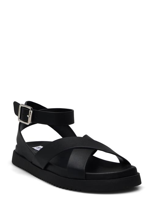 Steve Madden | My Bestie Sandal | 37