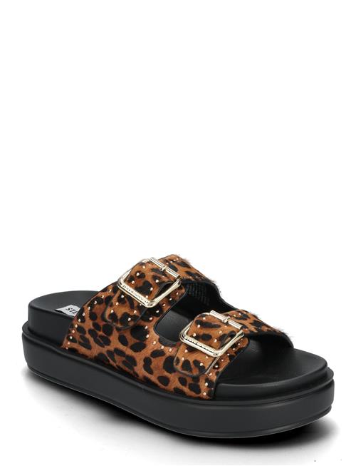 Steve Madden | Freelance-L Slides | 38