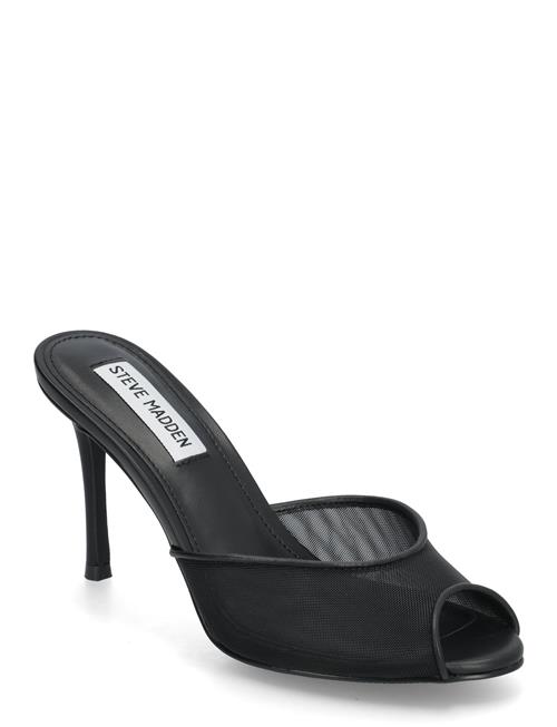 Steve Madden | Rollout-M Mule | 39