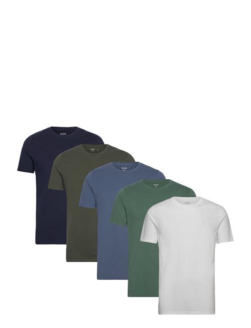 Hollister | Icon T Shirt 5 Pack | XS
