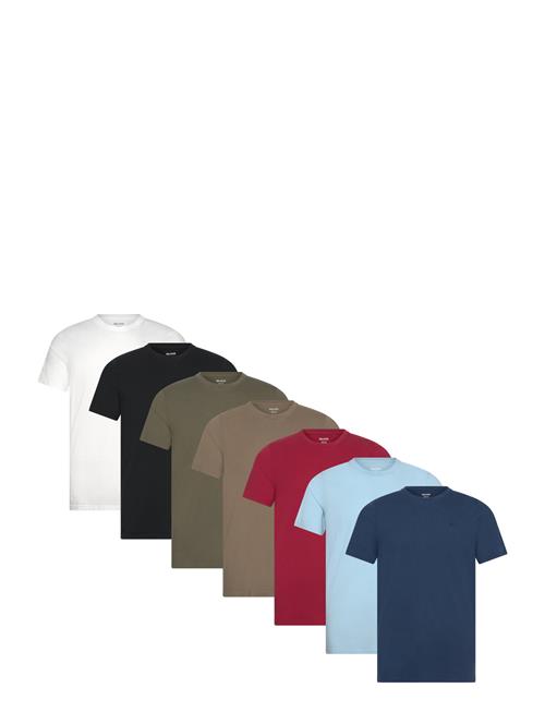 Hollister | Hco. Guys Knits | S