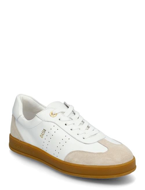 Dasia | Achillea | 36