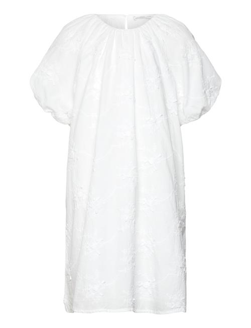 Mango | Dress .-- Pompi | 128