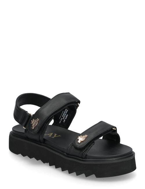 Replay | New Alicante Shield | 37