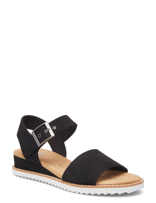 Skechers | Women Desert Kiss Serendipitous | 40