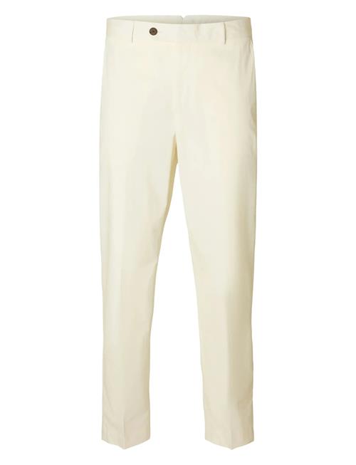 Selected | Slhreg-Tanger Trs | 48