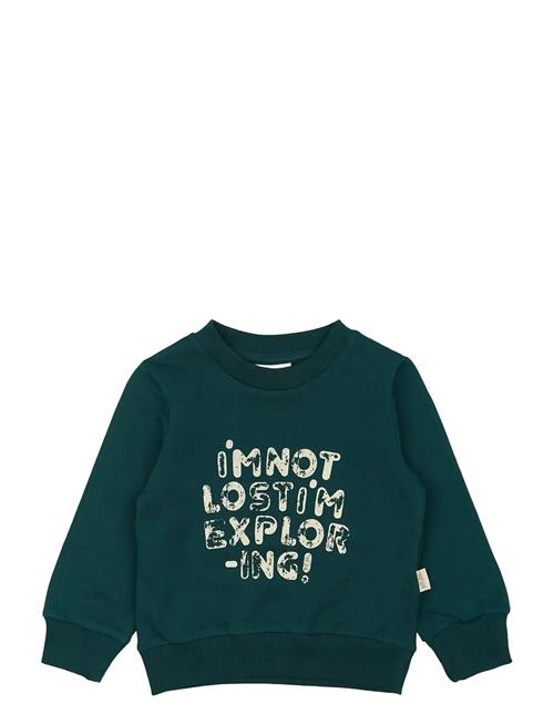 Petit Piao | Ppdov Sweat Shirt | 98