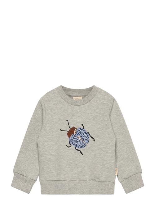 Petit Piao | Ppdov Sweat Shirt | 92