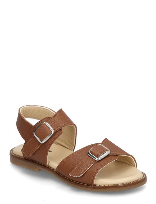 Kavat | Falsterbo | 27/17CM