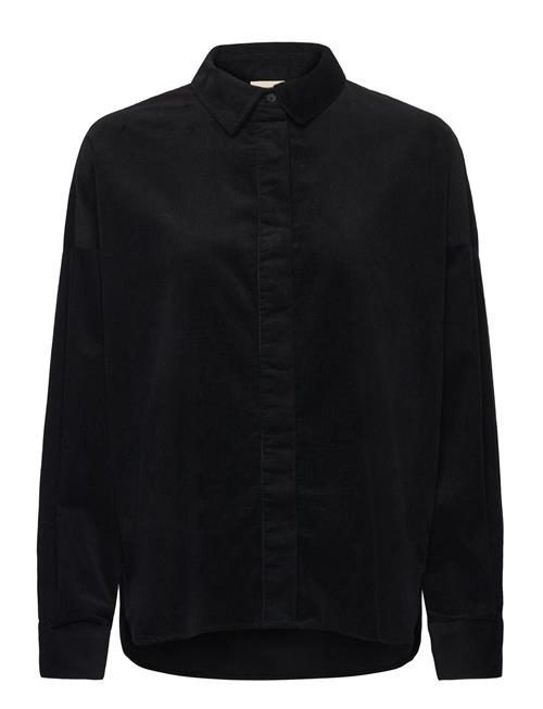 Fransa | Frcory Sh 3 | XXL