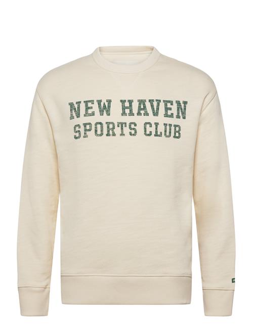 GANT | Graphic C-Neck | XL