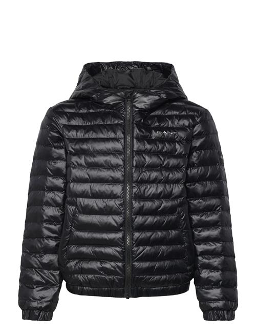 GANT | Shiny Light Padded Jacket | 158-164