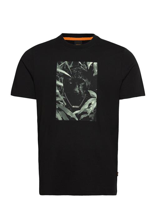 BOSS | Te_Animali | L