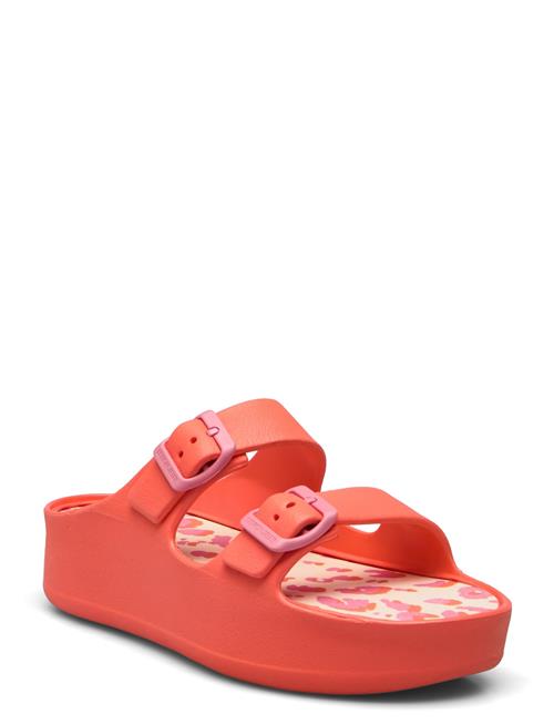 Lemon Jelly | Elvia Orange Peel | 39