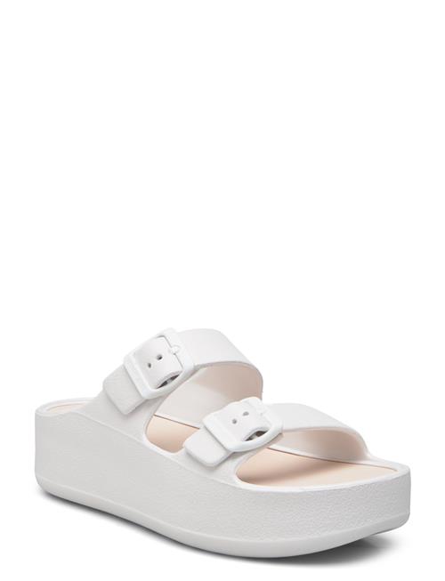 Lemon Jelly | Fenix Pearl Metal | 41