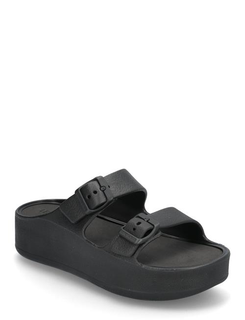 Lemon Jelly | Fenix Black | 40