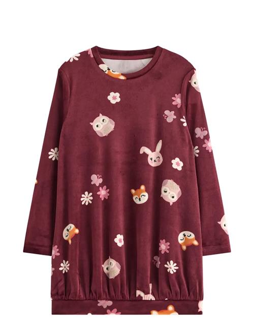 Lindex | Tunika I Velour | 98