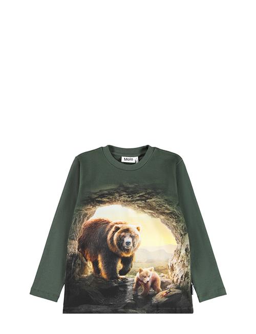 Molo | Reif | 140