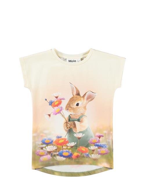 Molo | Ragnhilde | 92