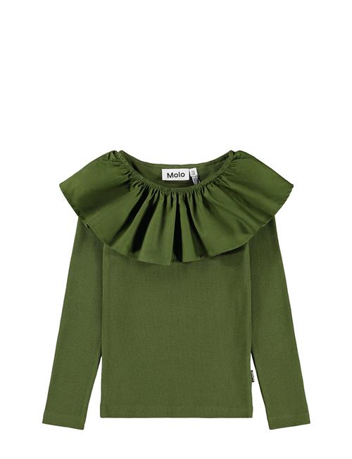 Molo | Renate | 110/116