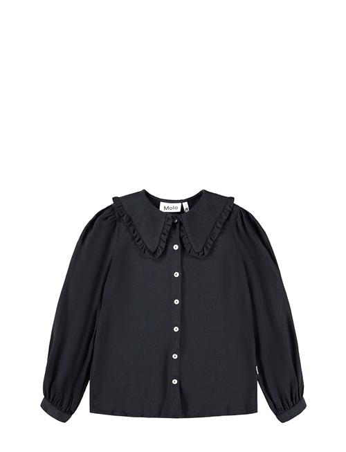 Molo | Robbin | 146/152