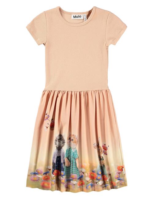 Molo | Cissa | 134/140