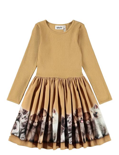 Molo | Casie Warm | 146/152